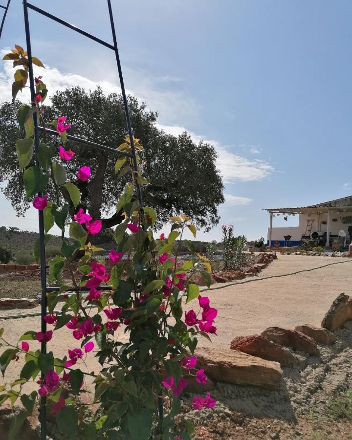 Villa Monte Beatriz Reguengos de Monsaraz Exterior foto