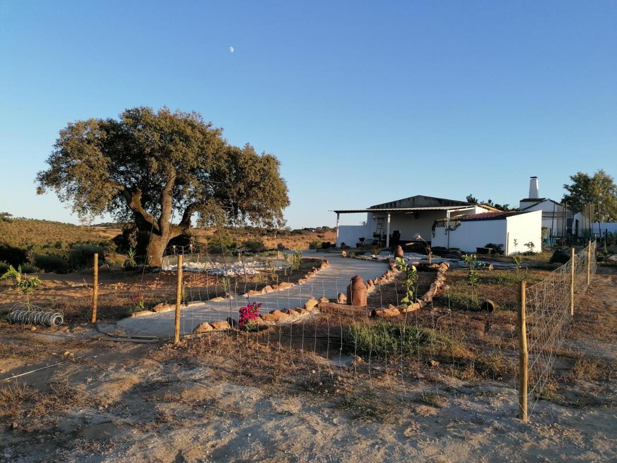 Villa Monte Beatriz Reguengos de Monsaraz Exterior foto